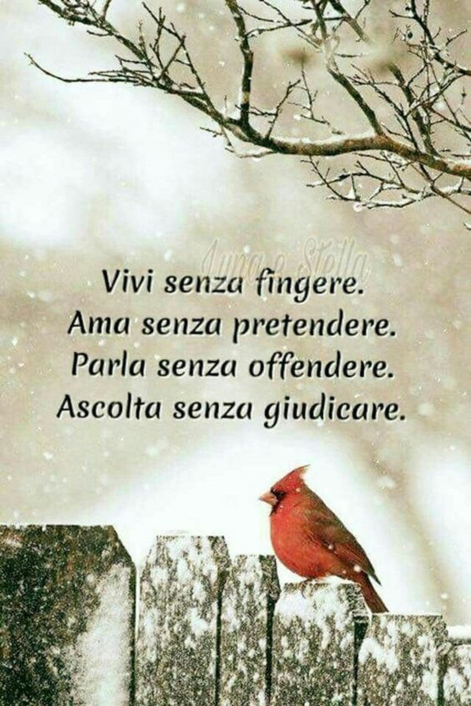 Belle frasi d'amore per gruppi Facebook 3