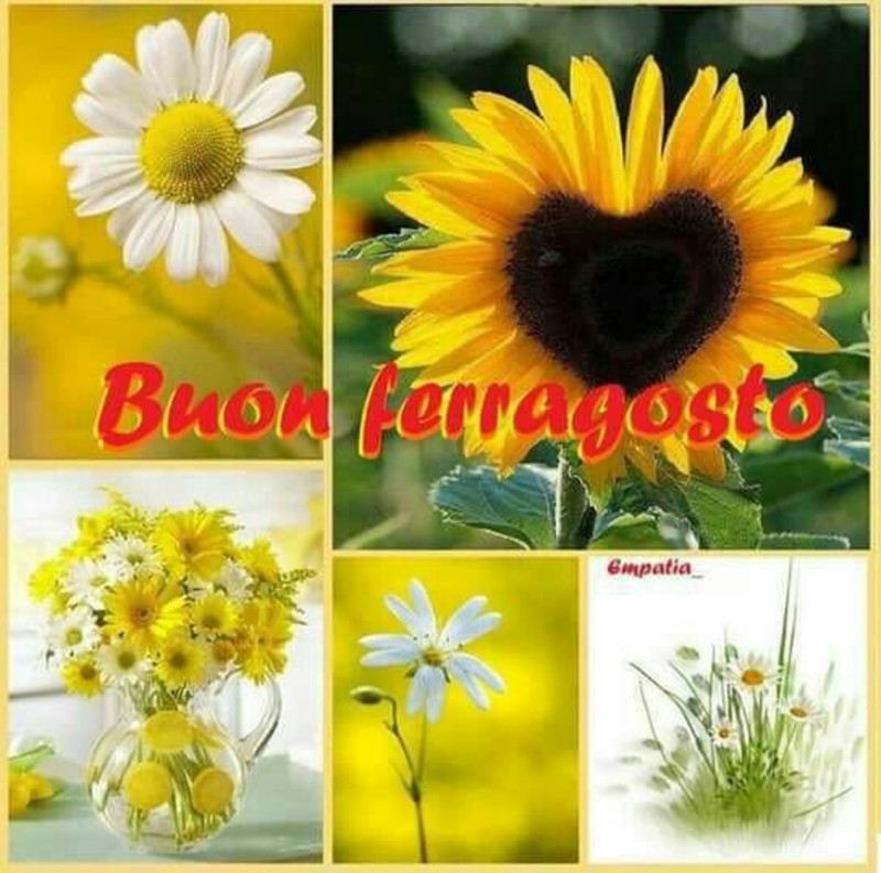 Buon Ferragosto fiori