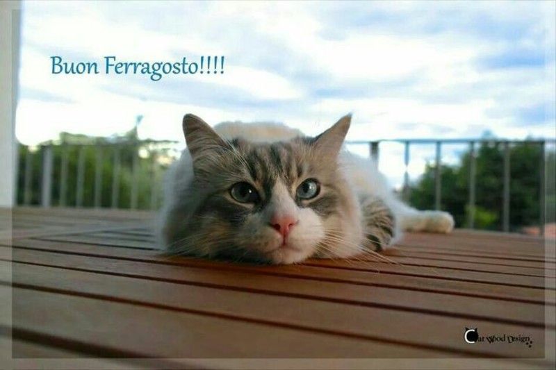 Buon Ferragosto immagini 2132