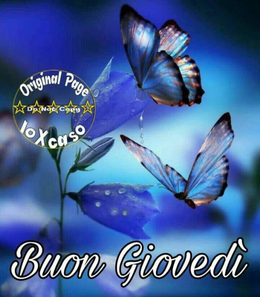 Buon Giovedì a tutti 5815