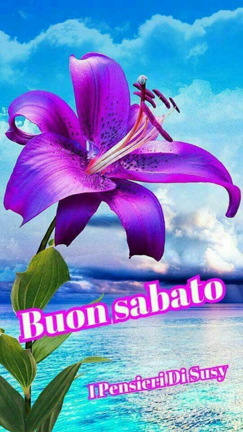 Buon Sabato immagini con i fiori (8)