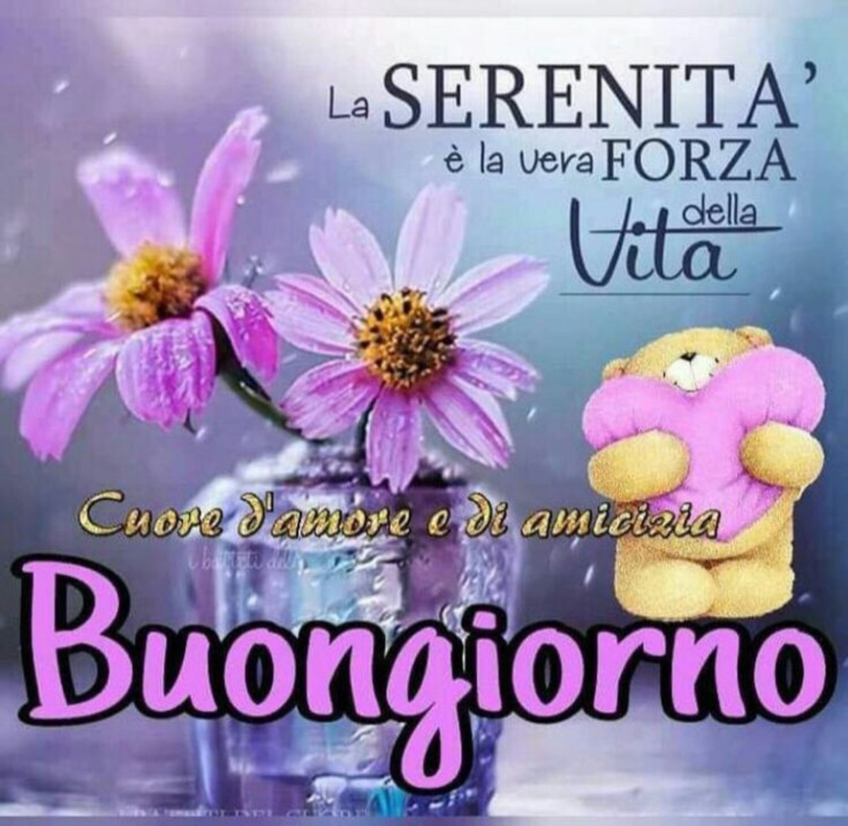 Buongiorno a tutti voi 4463