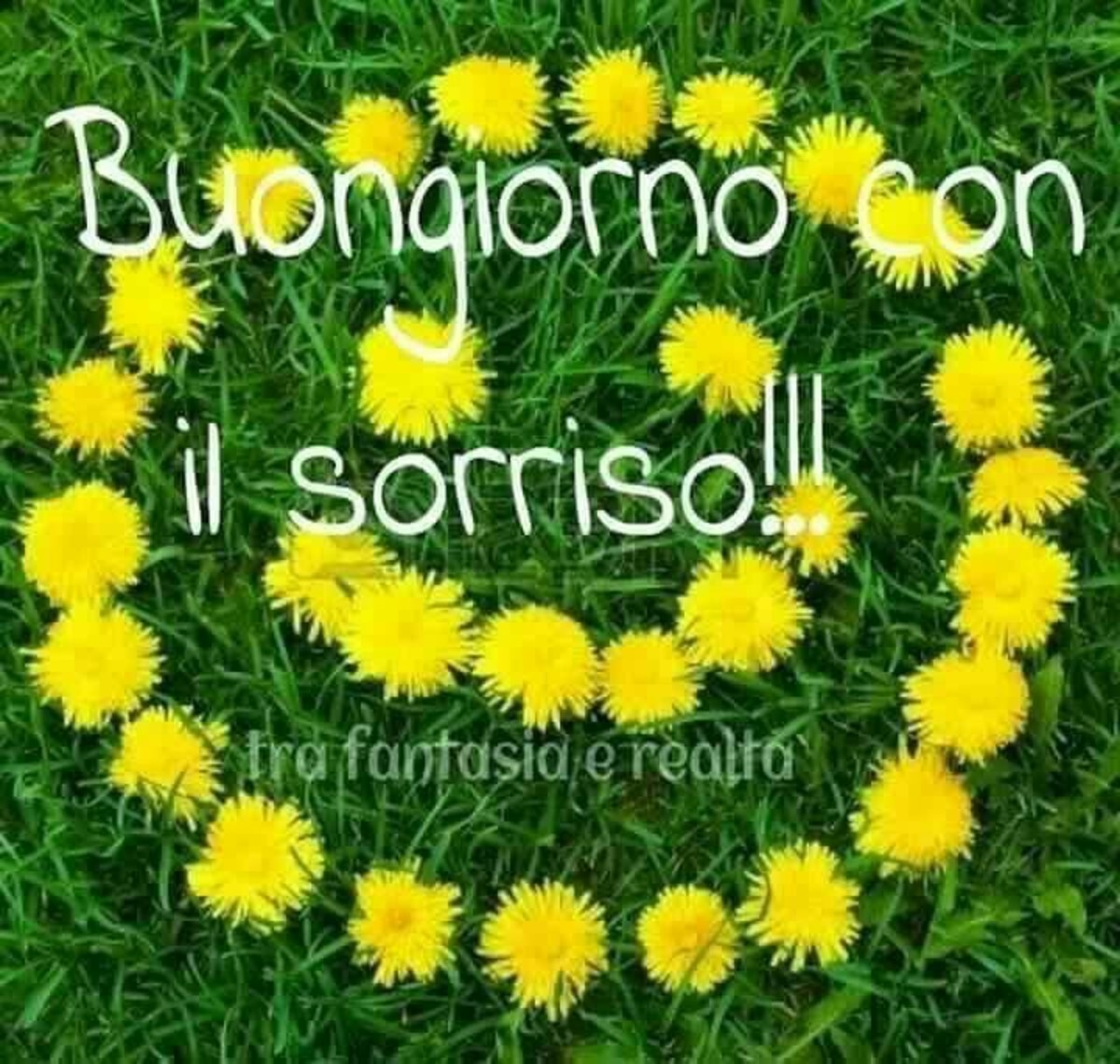 Buongiorno Con Il Sorriso Bellissimeimmagini It