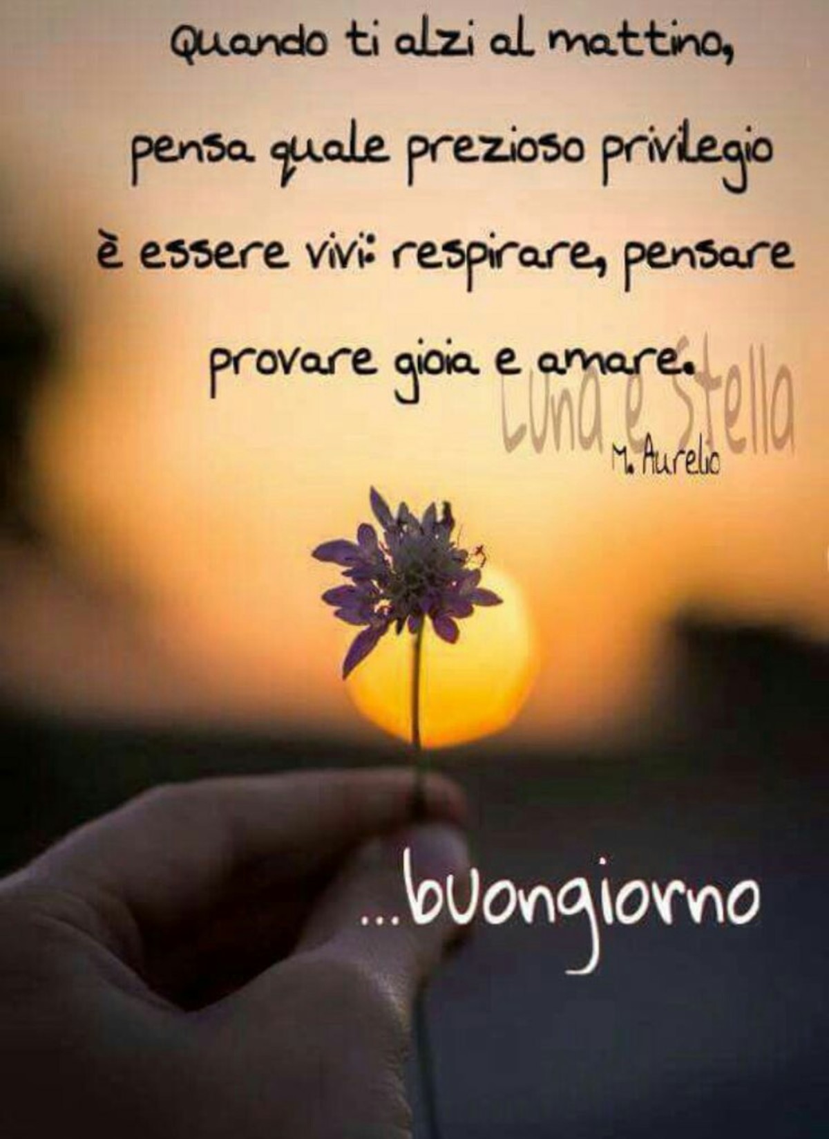 Buongiorno frasi 3424