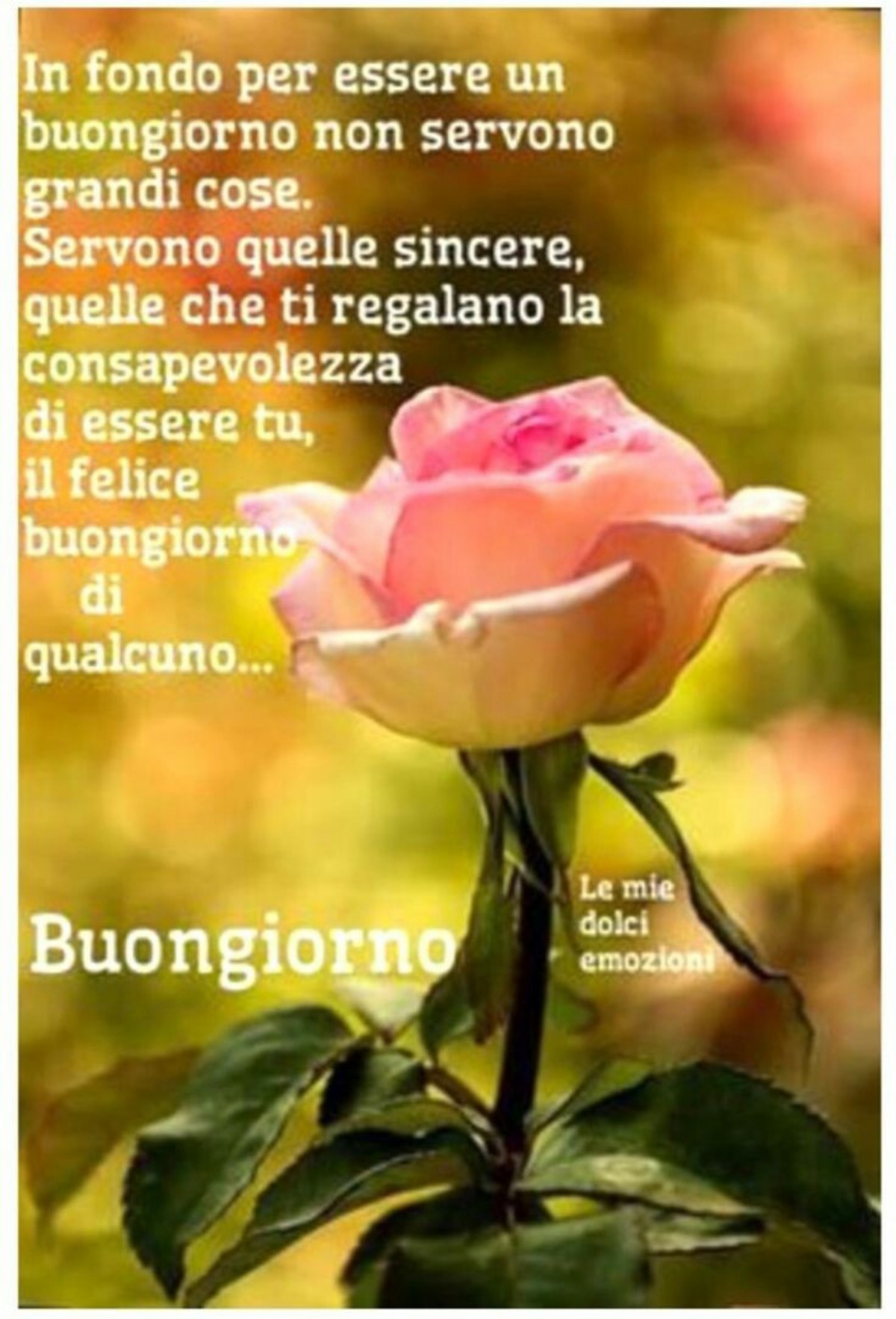 Buongiorno immagini generiche 5900