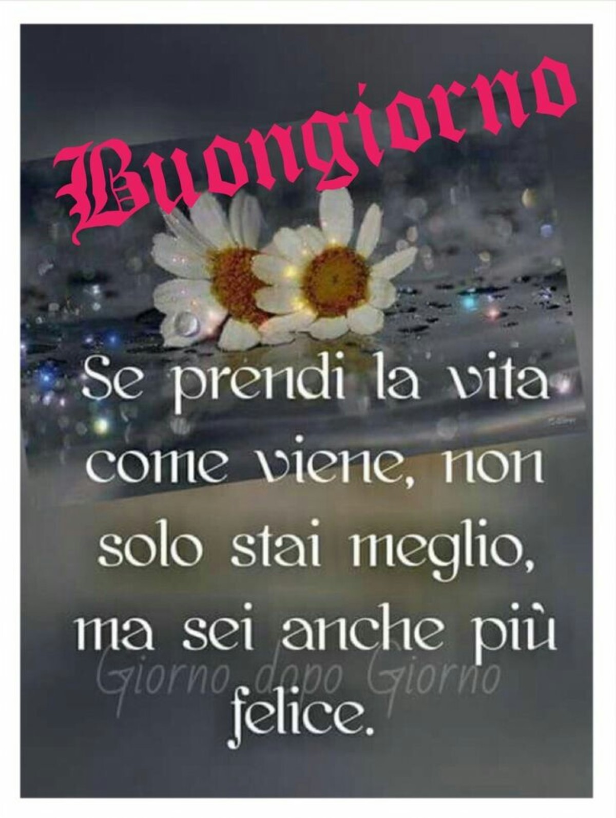 Buongiorno immagini generiche 6170