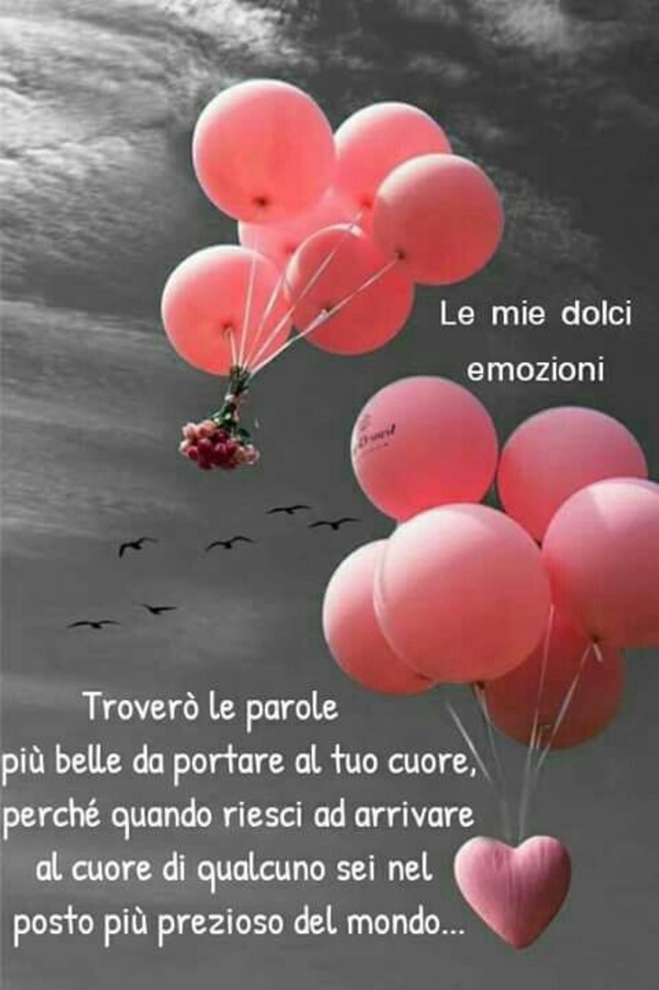 Frasi d'Amore 1981