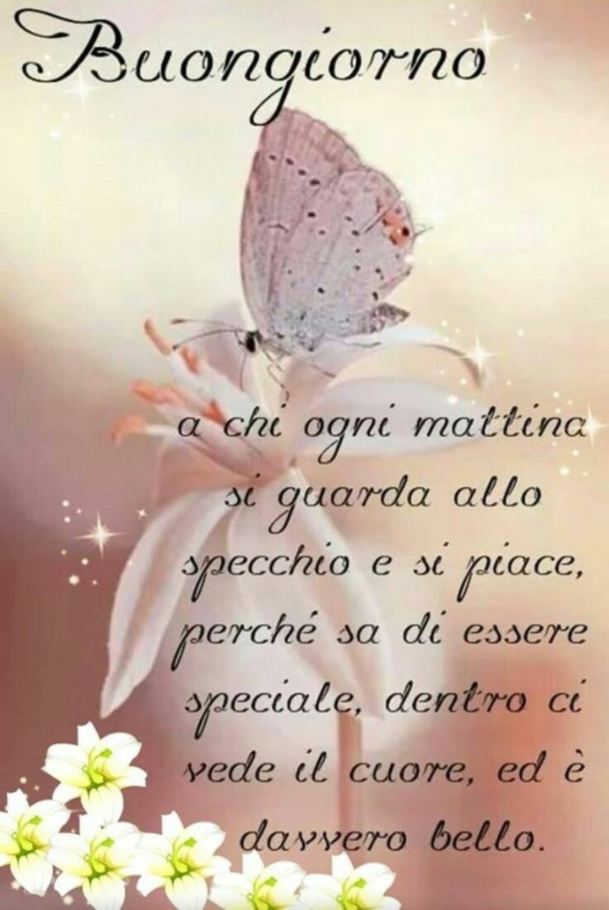 Immagini Buongiorno estive 1