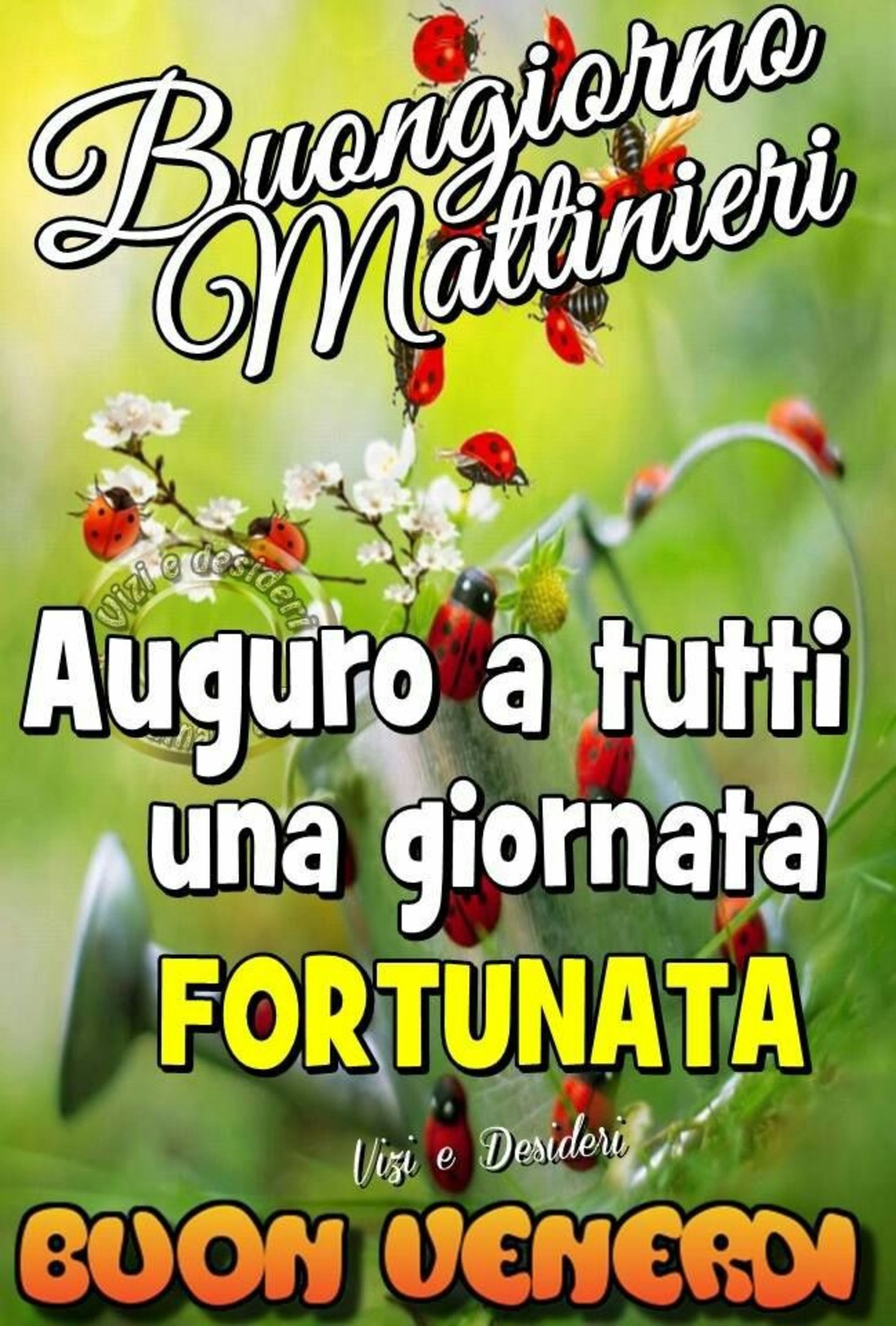 Bellissime immagini Buon Venerdì 5430