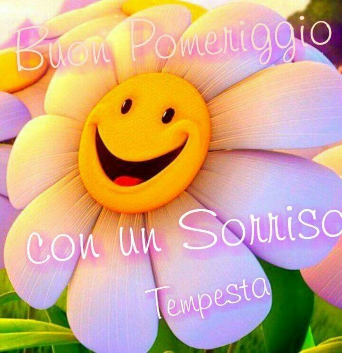 Buon Pomeriggio 1145