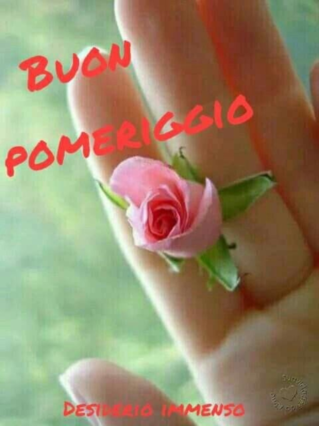 Buon Pomeriggio 1172