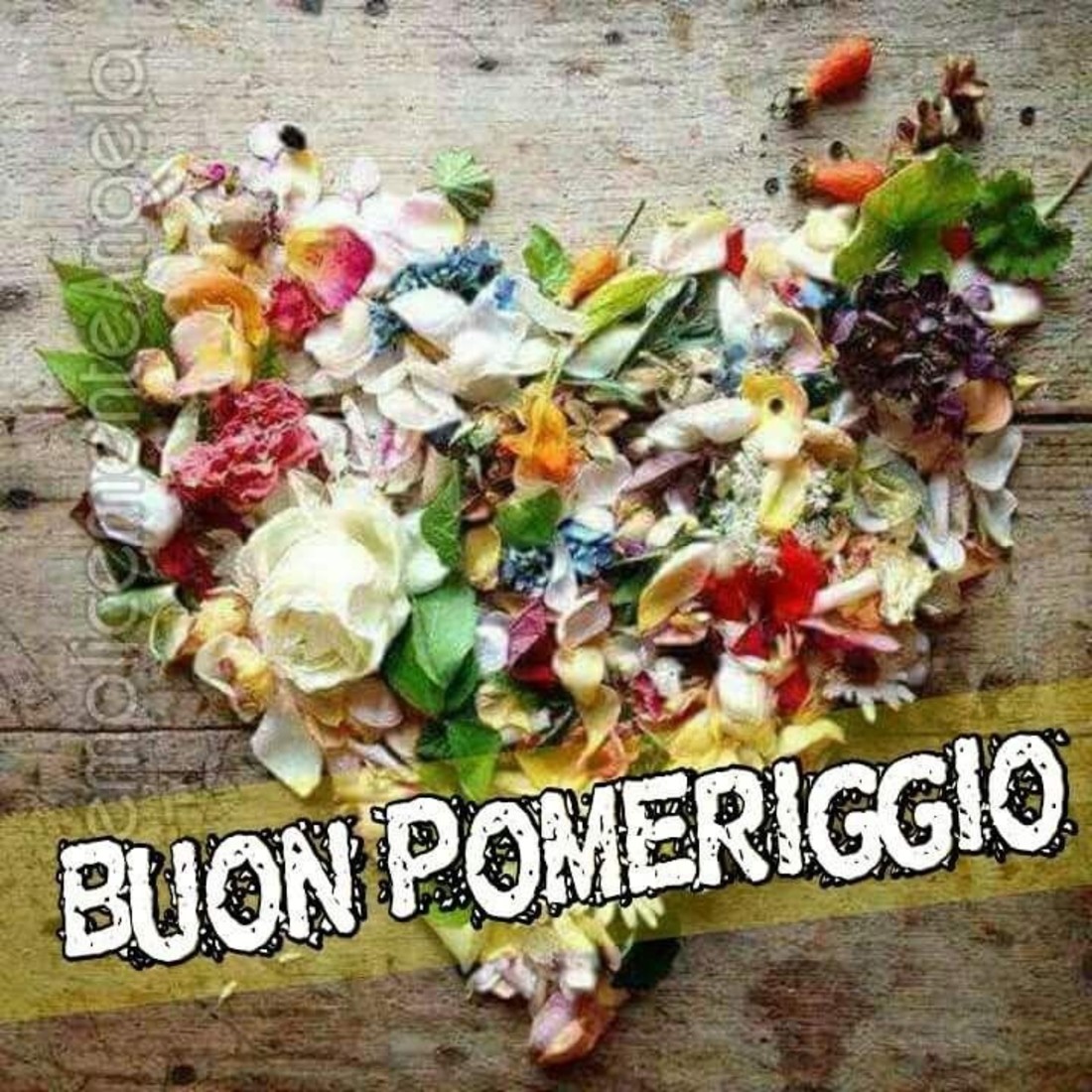 Buon Pomeriggio 1272