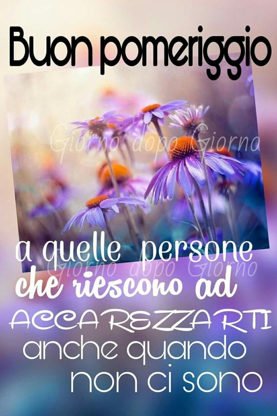 Buon Pomeriggio Frasi 3271