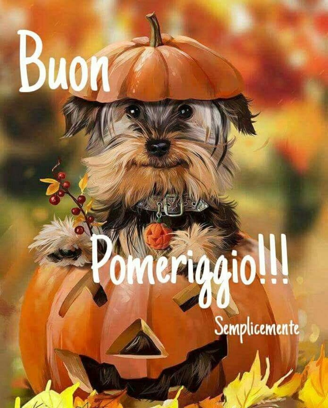 Buon Pomeriggio Halloween