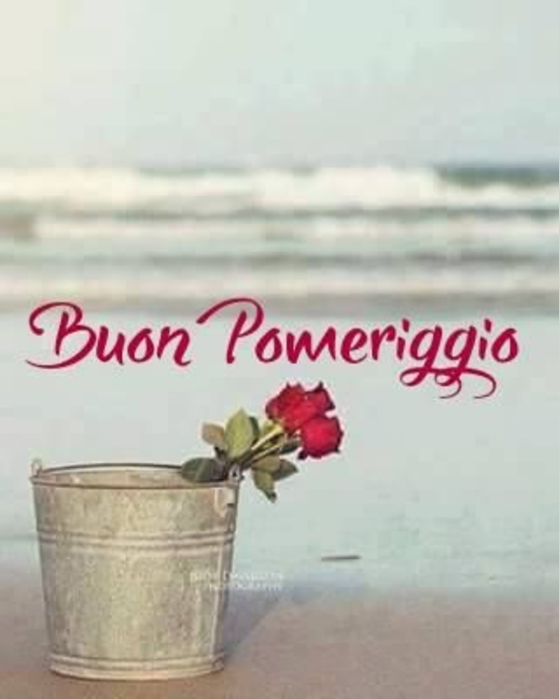 Buon Pomeriggio divertenti whatsapp 6590