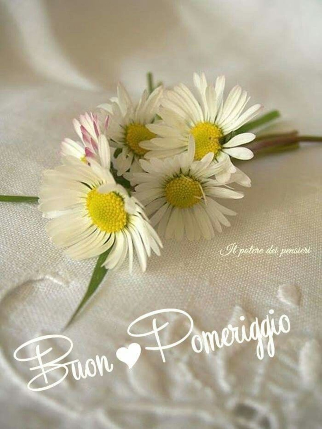 Buon Pomeriggio divertenti whatsapp 665