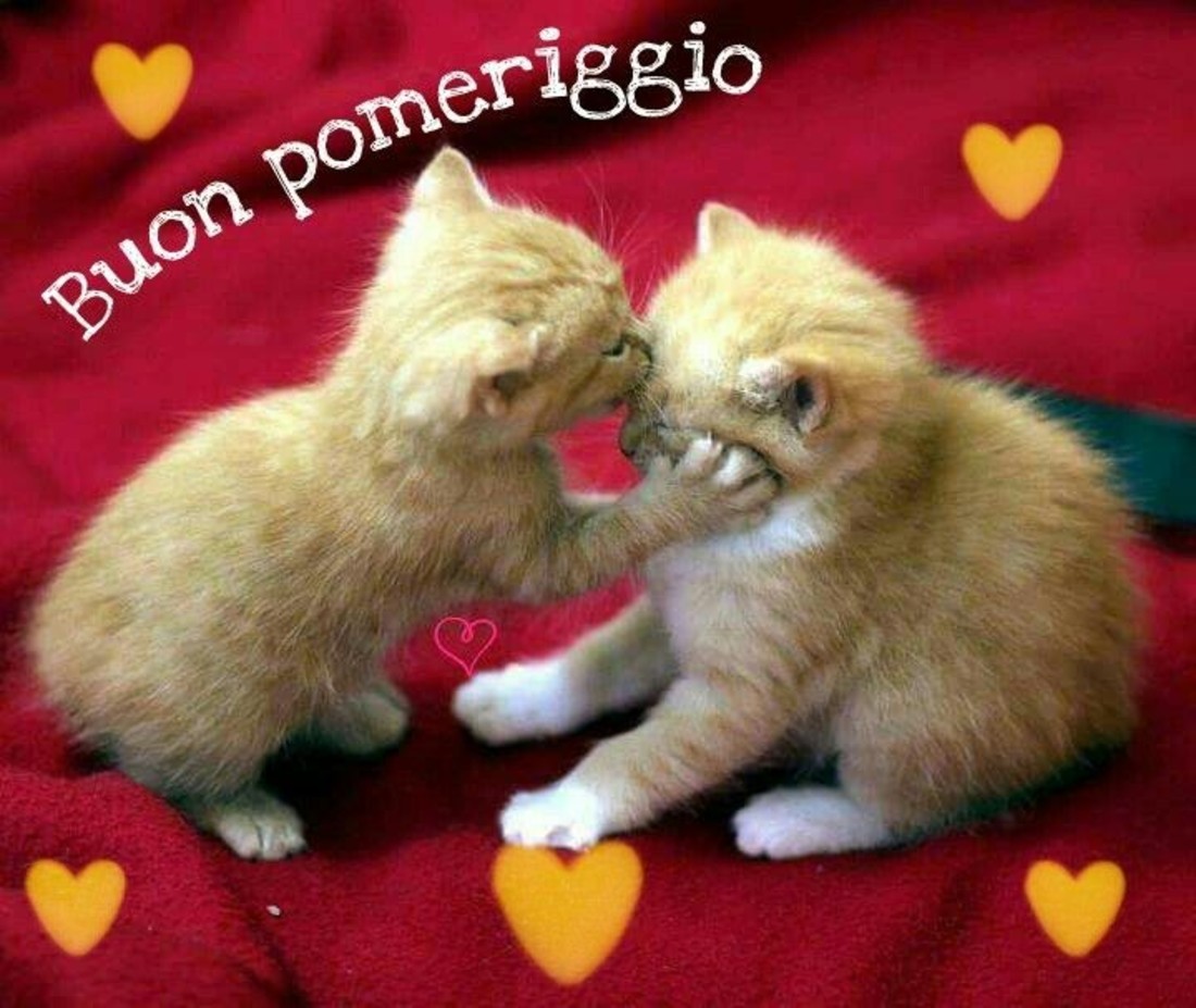 Buon Pomeriggio immagini Pinterest 597