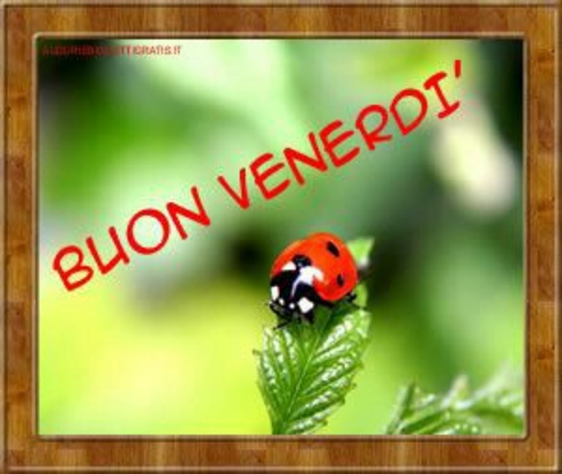 Buongiorno e Buon Venerdì 2585