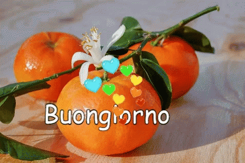 Buongiorno gif immagini da condividere gratis 7015