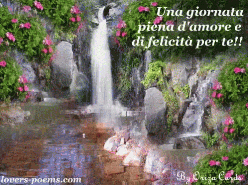 Buongiorno gif immagini per Gruppi Facebook 8744