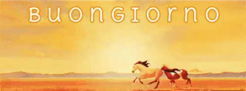 Buongiorno immagini gif gratis 9211