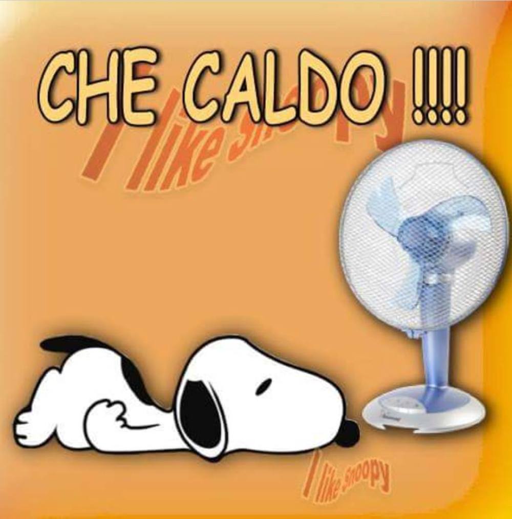 Che Caldo Snoopy