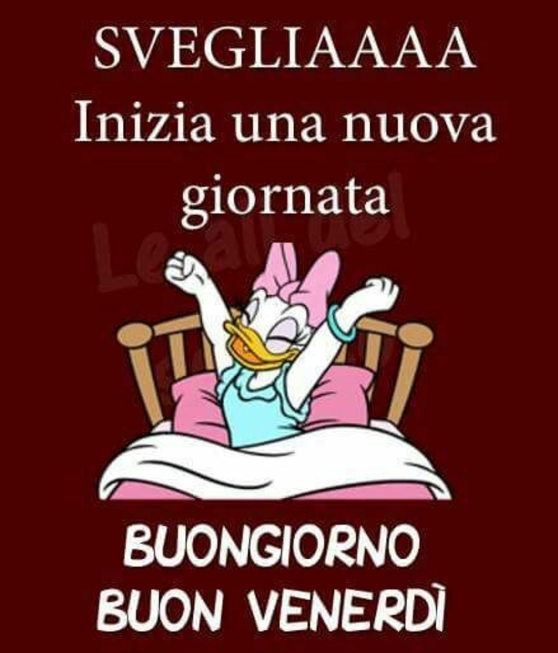 Immagini nuove Buon Venerdì 3730