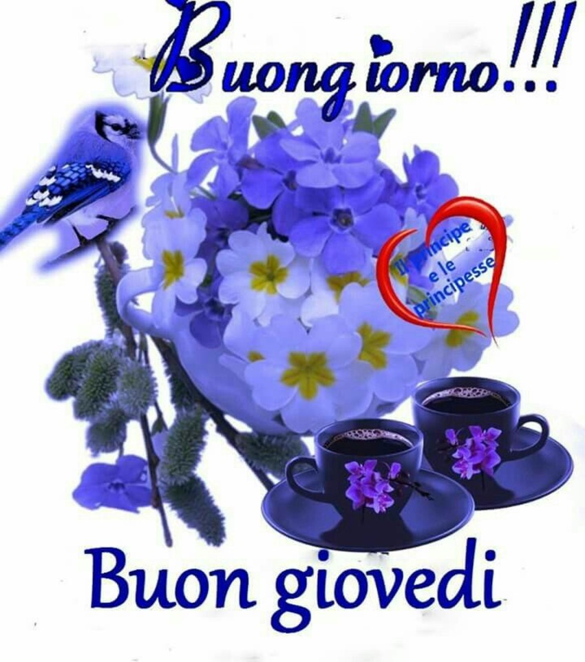 Buon Giovedì e Buongiorno 7115