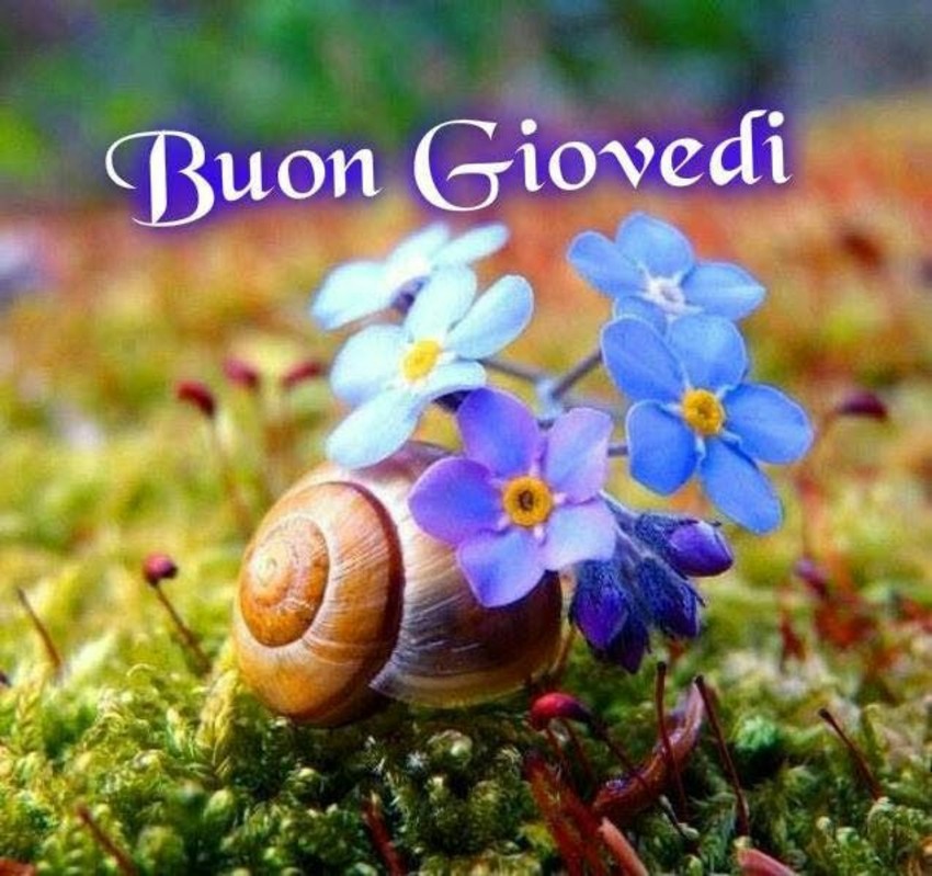 Buon Giovedì immagini bellissime da mandare