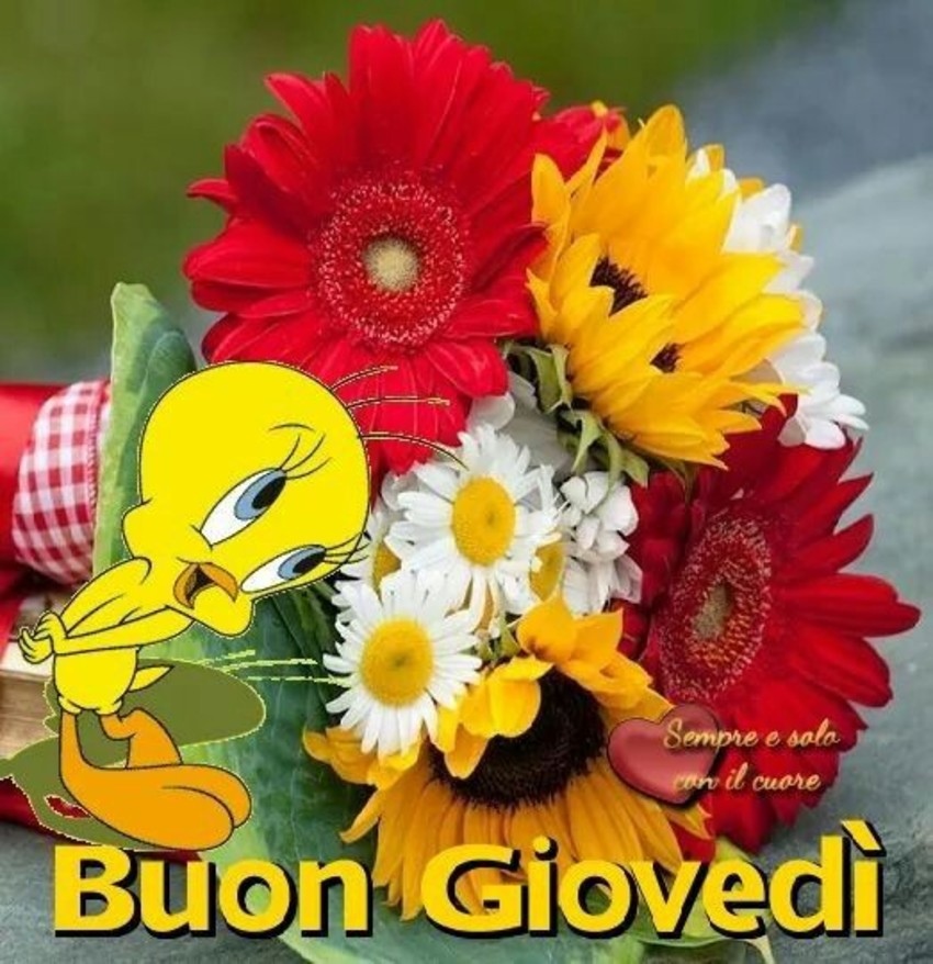 Buon Giovedì immagini nuove 429