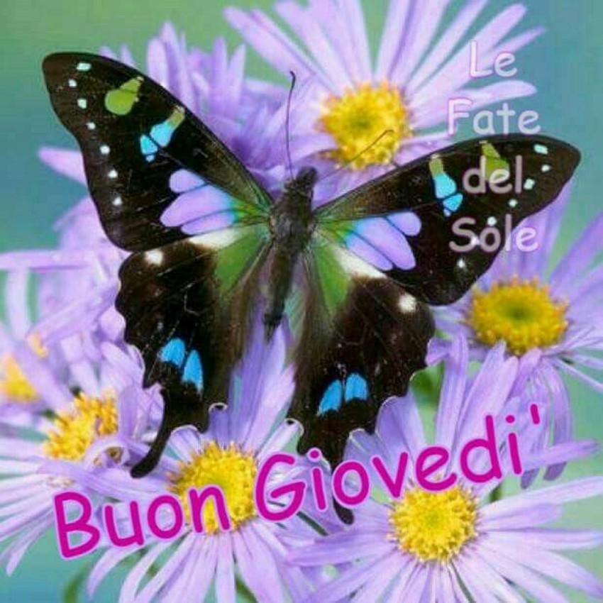 Buon Giovedì immagini nuove 6012