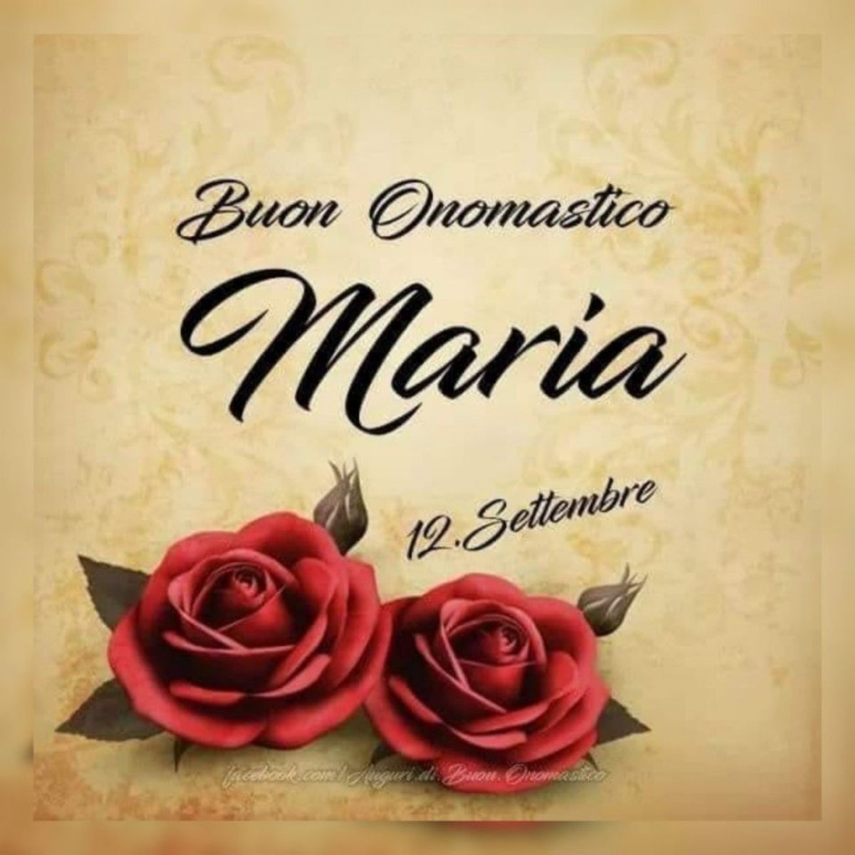 Buon Onomastico Maria 3