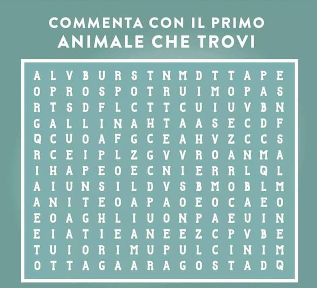 Domande a formato immagine per Gruppi Facebook 1