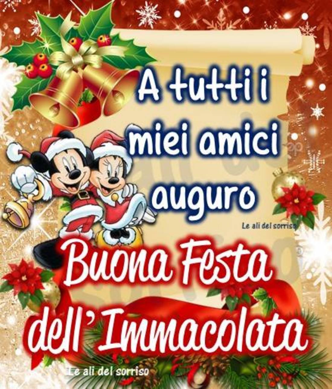 Immagini per festa dell'Immacolata