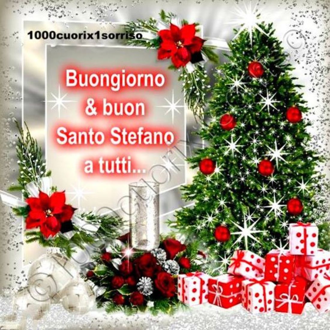 Bellissime immagini Buon Santo Stefano