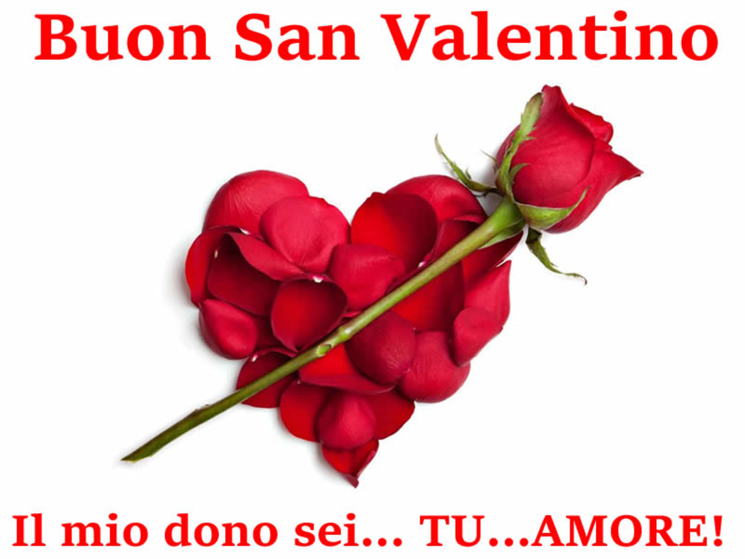 Buon San Valentino belle immagini 2