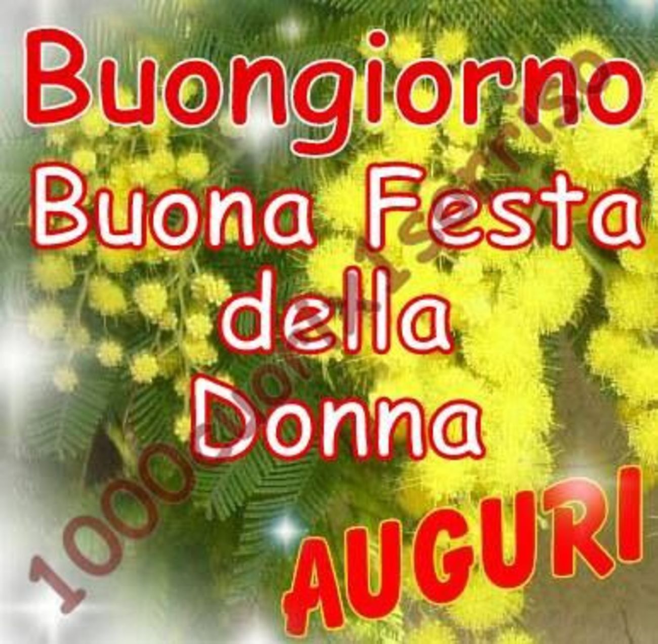 Auguri Festa della Donna immagini WhatsApp 1828