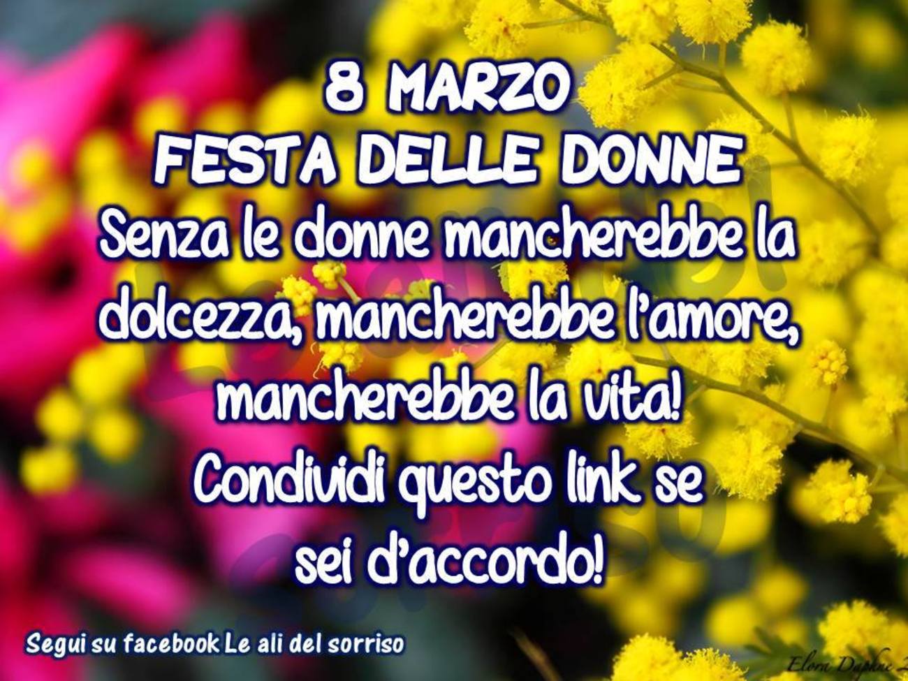 Auguri per Festa delle Donne per WhatsApp 917