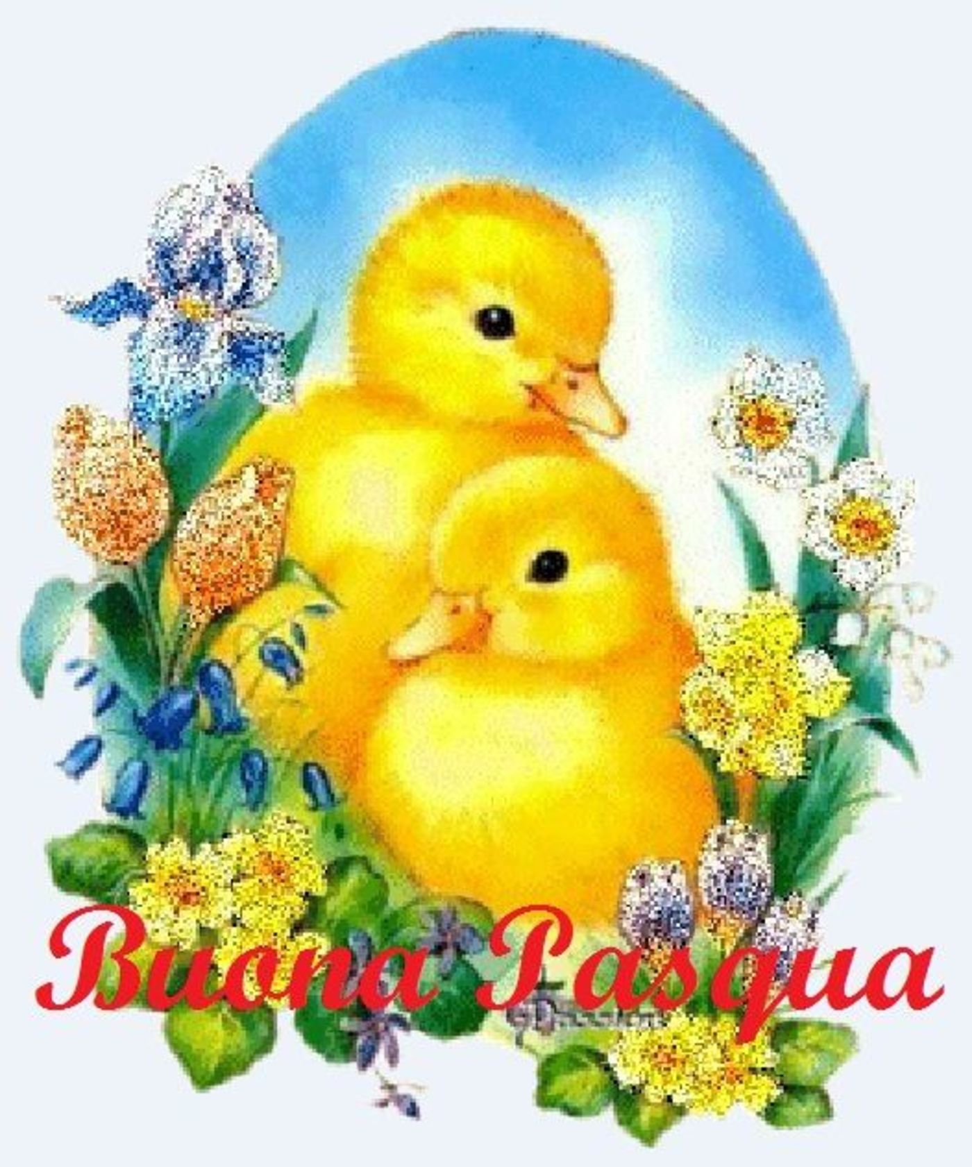 Belle immagini Buona Pasqua 3649