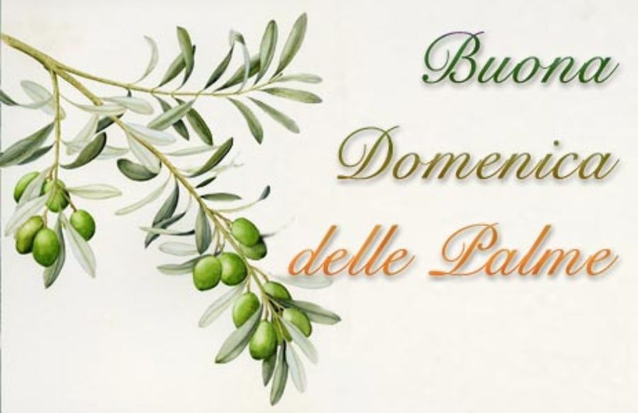 Bellissime immagini Buona Domenica delle Palme 5091