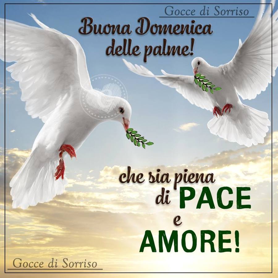 Buona Domenica delle Palme belle immagini 4292