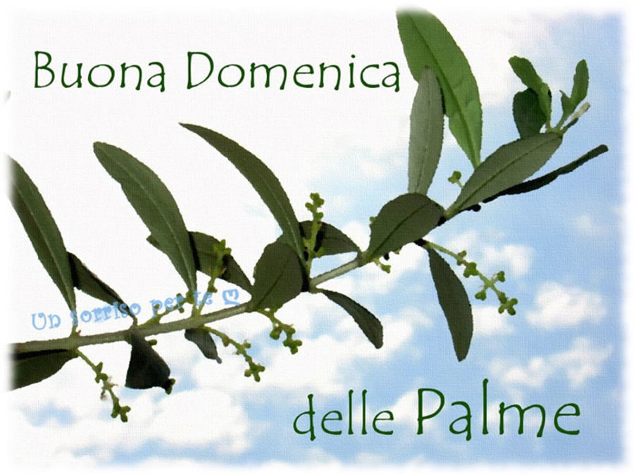 Buona Domenica delle Palme immagini Facebook 7707