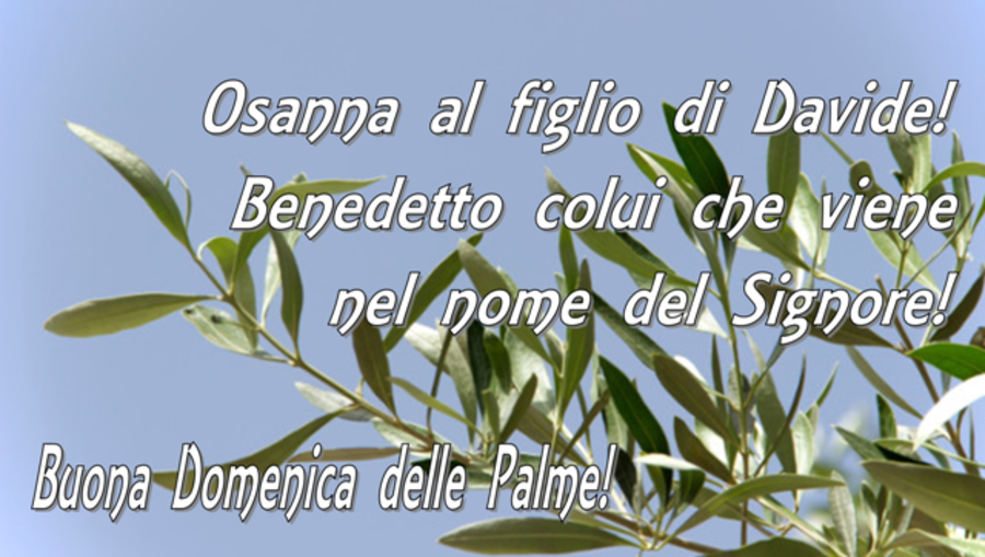 Buona Domenica delle Palme immagini Facebook 7838