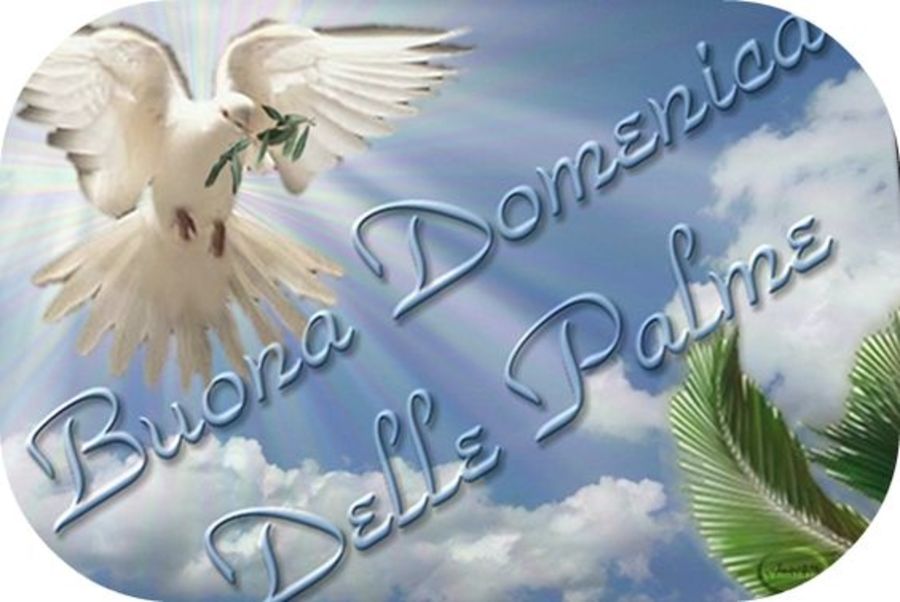 Buona Domenica delle Palme immagini WhatsApp 6974