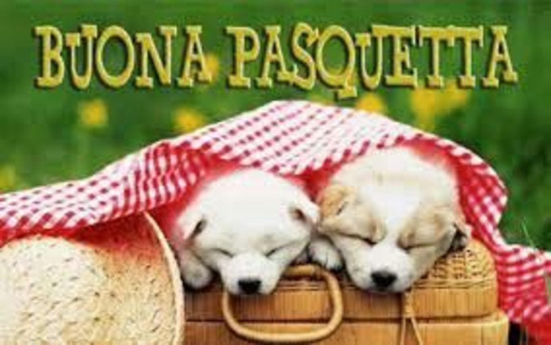 Buona Pasquetta immagini 2562