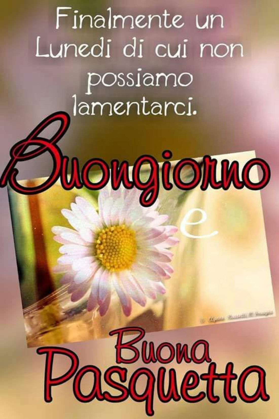 Buona Pasquetta immagini con frasi 3