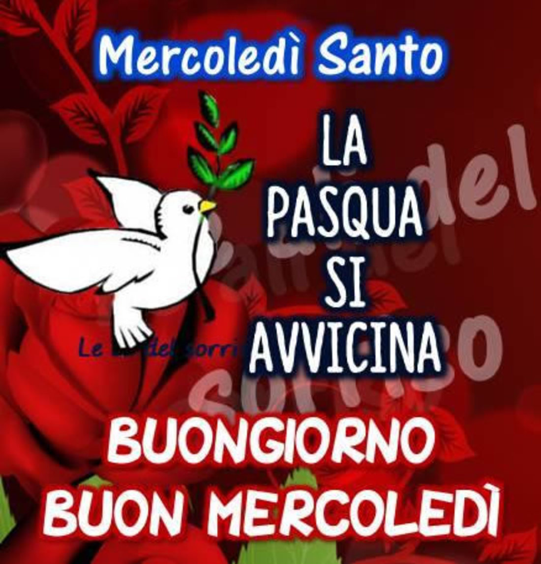 Buongiorno e Buon Mercoledì Santo