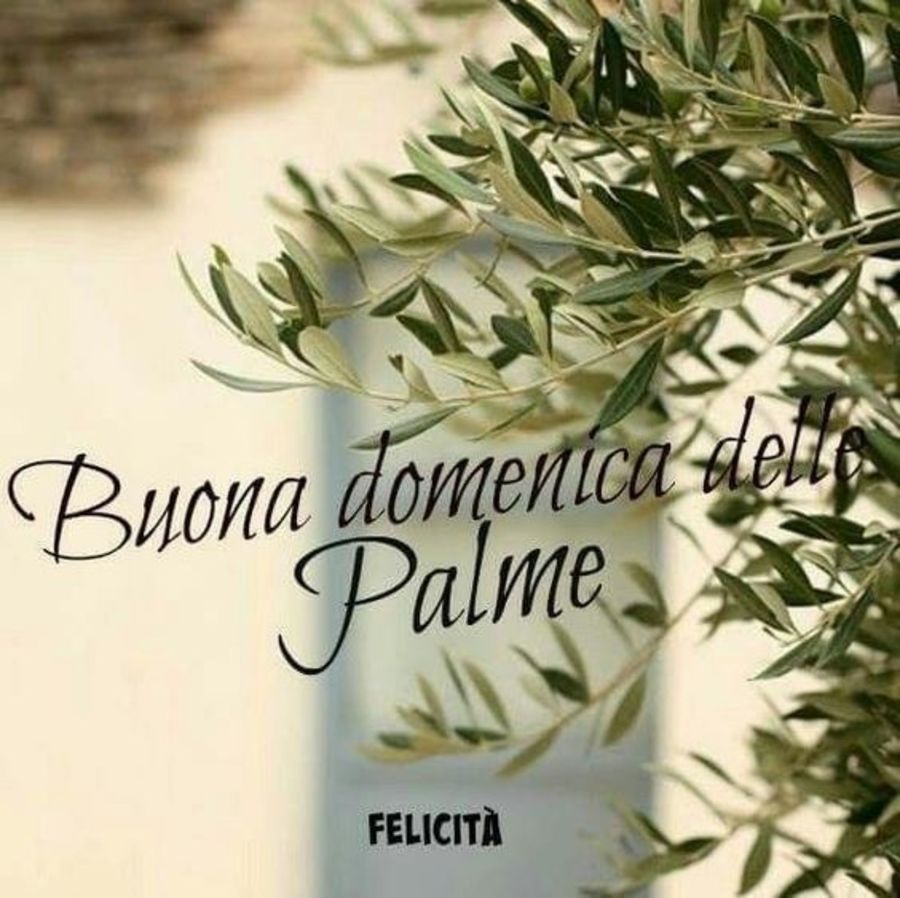 Domenica delle Palme 1255