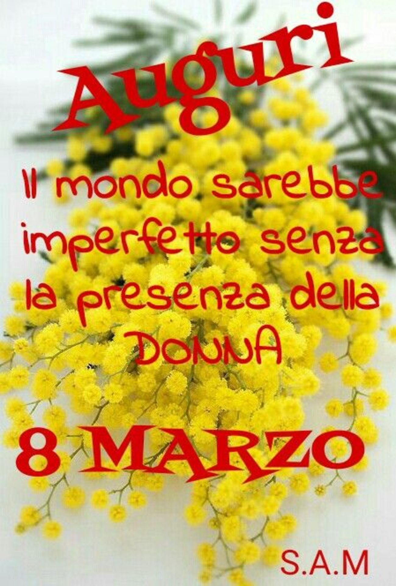 Festa della Donna 3