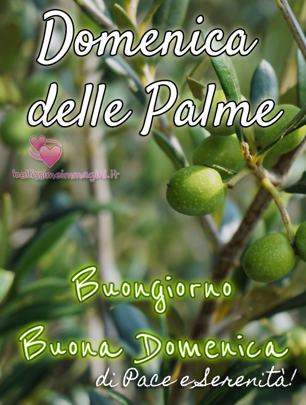 Immagini belle per Buona Domenica delle Palme